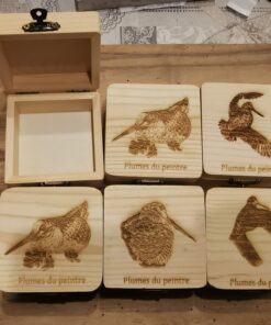 Boîte à plumes du peintre